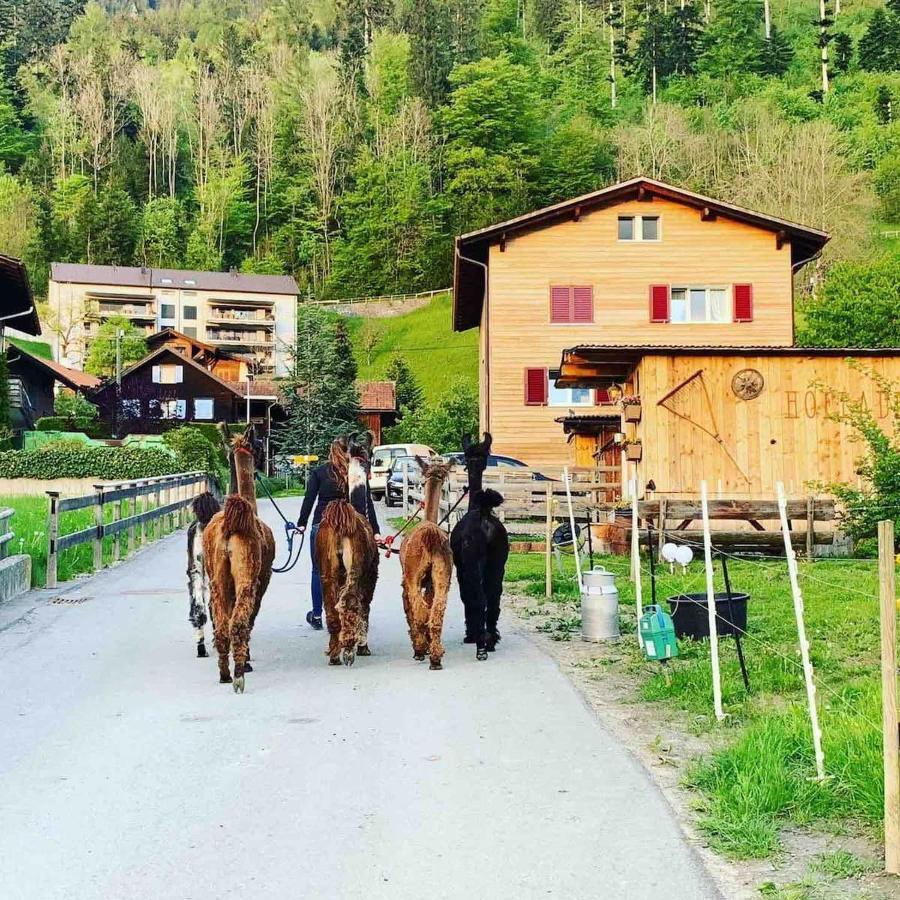 Hotel Jurte Beim Lama- & Alpakahof Triesenberg Esterno foto