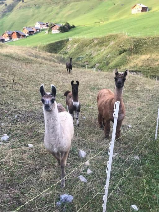 Hotel Jurte Beim Lama- & Alpakahof Triesenberg Esterno foto