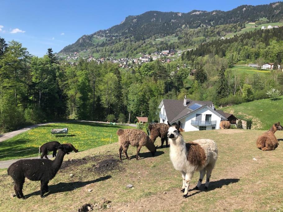 Hotel Jurte Beim Lama- & Alpakahof Triesenberg Esterno foto